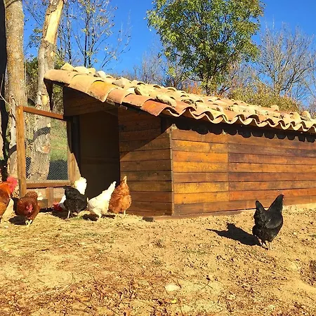 Holiday home Cal Pesolet Eco Turisme Rural Bellver De Cerdanya