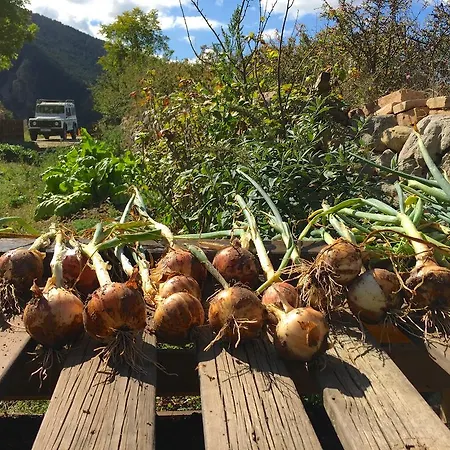Сasa de vacaciones Cal Pesolet Eco Turisme Rural *